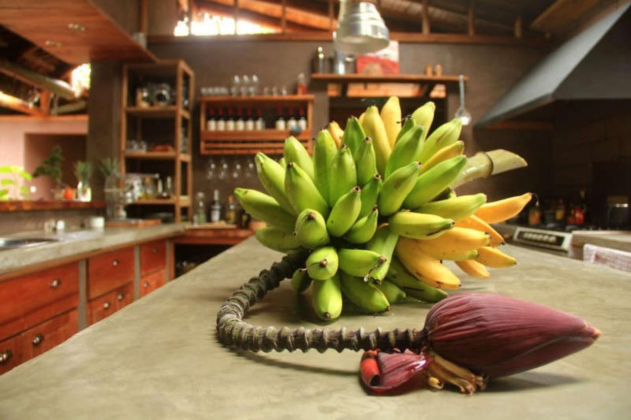 La Bicok Ecolodge Mindo Extérieur photo