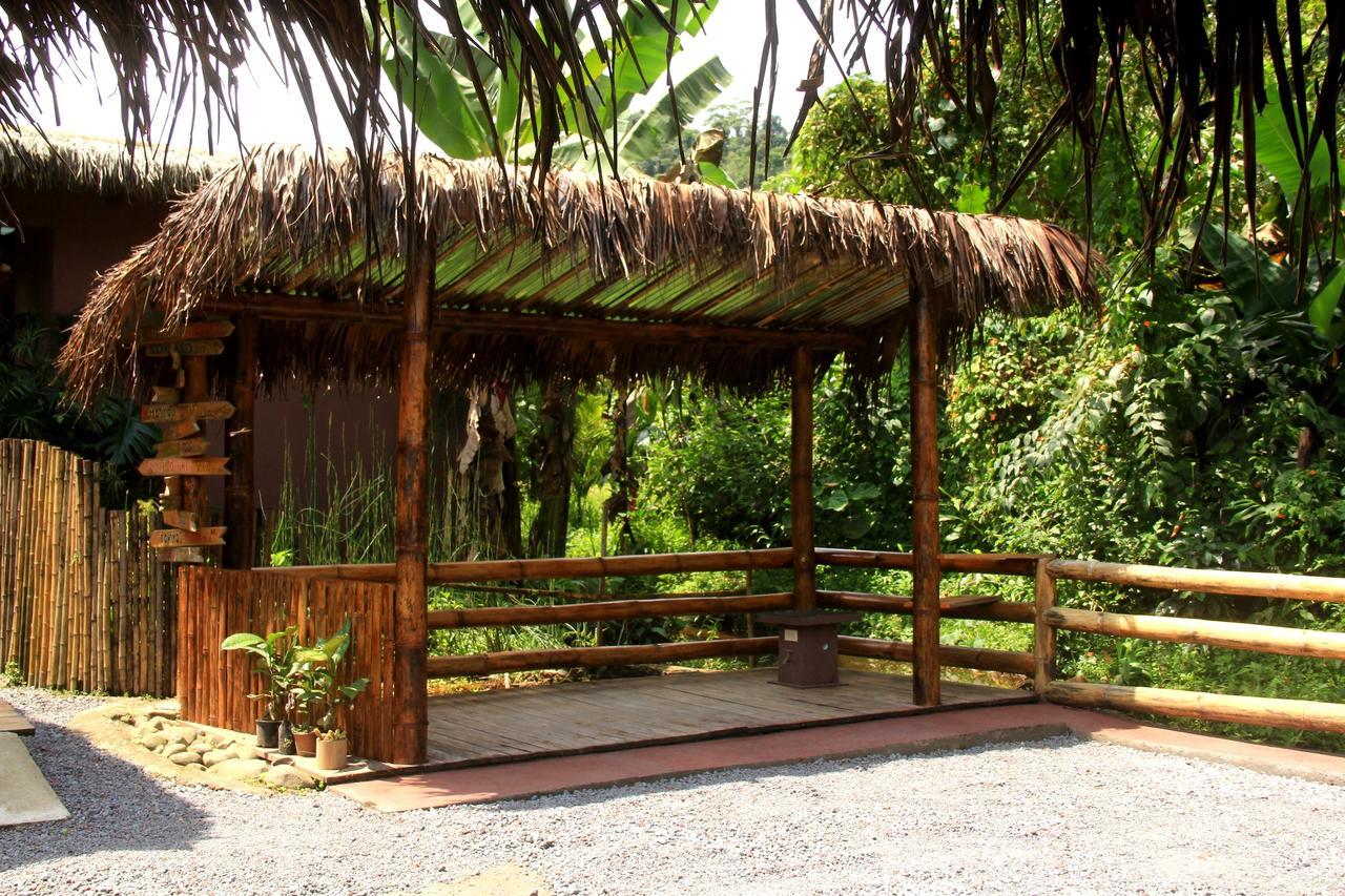 La Bicok Ecolodge Mindo Extérieur photo